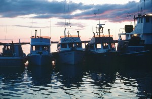 Bristol Bay, Summer 1981 - 32 ft Bristol Bay gillnet salmon boats rafted together waiting for the season to open